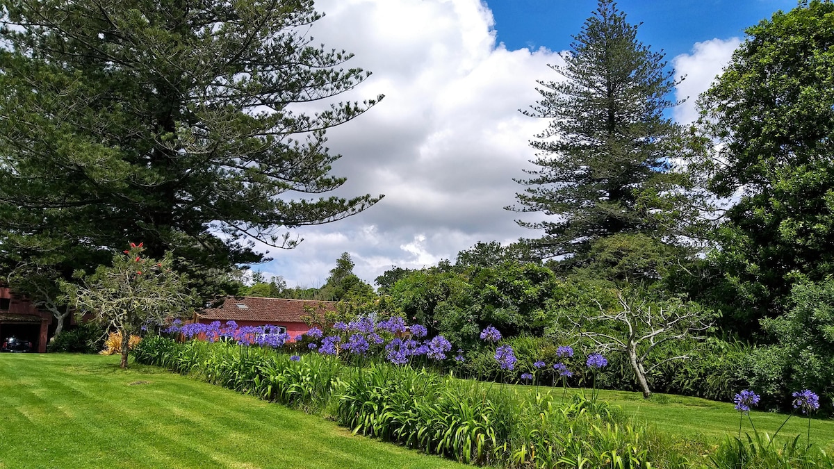 A lush garden is filled with vibrant purple flowers lining a manicured lawn, surrounded by a variety of trees including tall pines. The sky is partly cloudy, allowing sunlight to illuminate the greenery, enhancing the serene atmosphere of the natural setting.