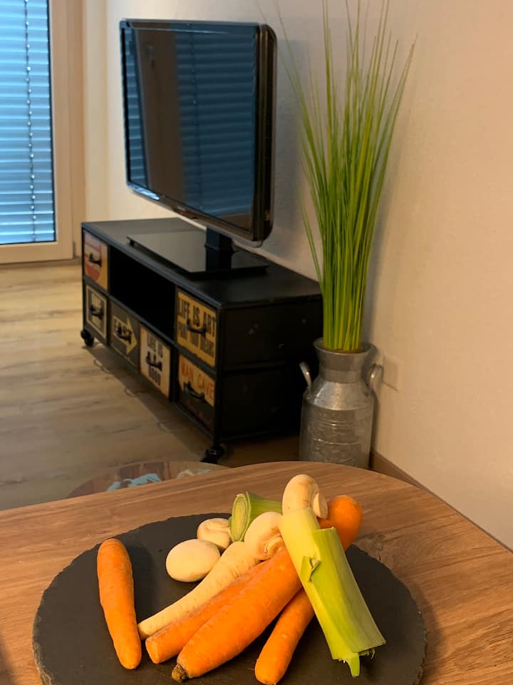 Business Apartment Rheinfall & Flughafen Zürich - Schaffhausen