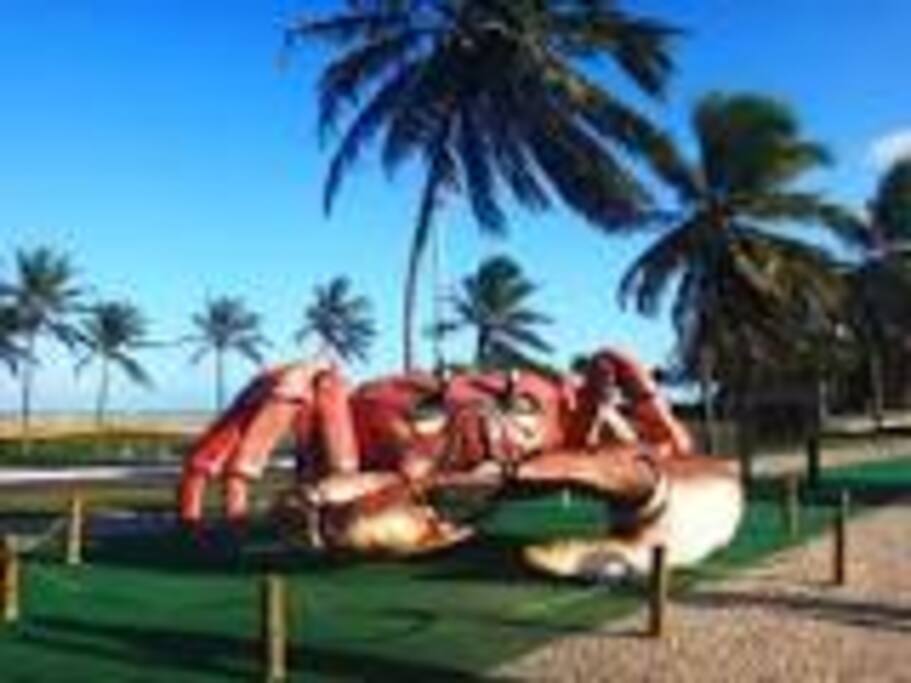 PASSARELA DO CARANGUEJO