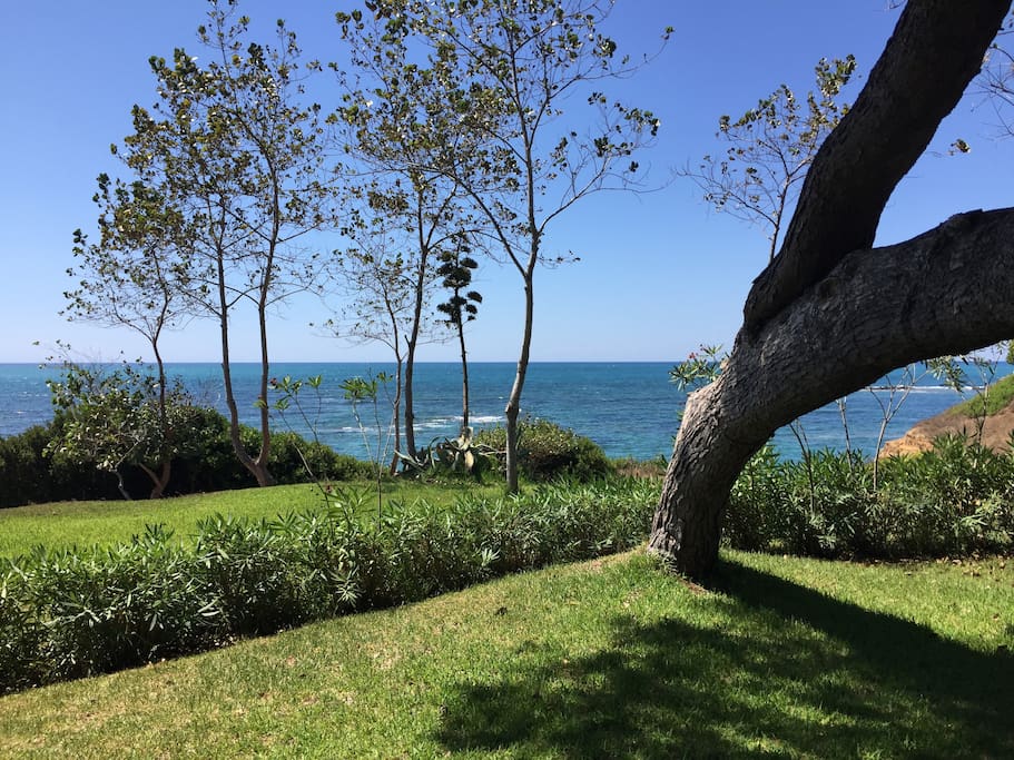 Sea side 150 m from the house