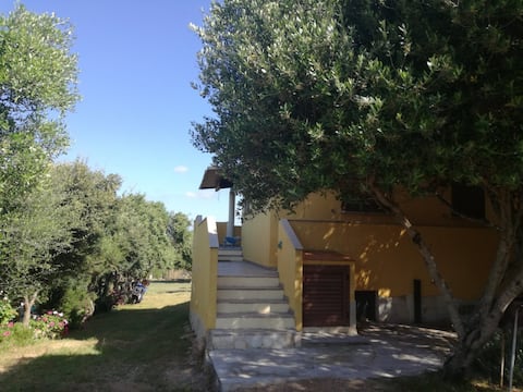 Successful Airbnb property: Palau, Porto Pollo area, apartment with sea view in Palau