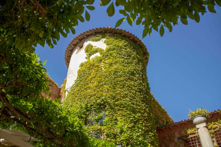 Hermoso estudio en estilo español.