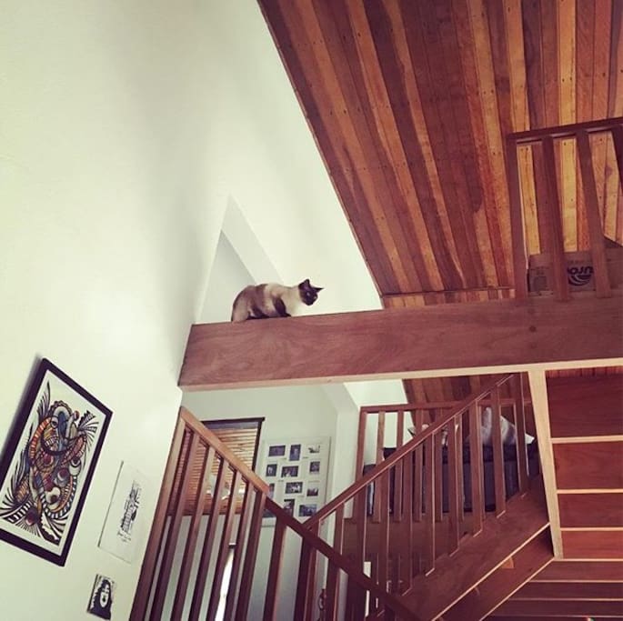 A casa tem 2 quartos, 2 banheiros, sala, cozinha e mezanino.