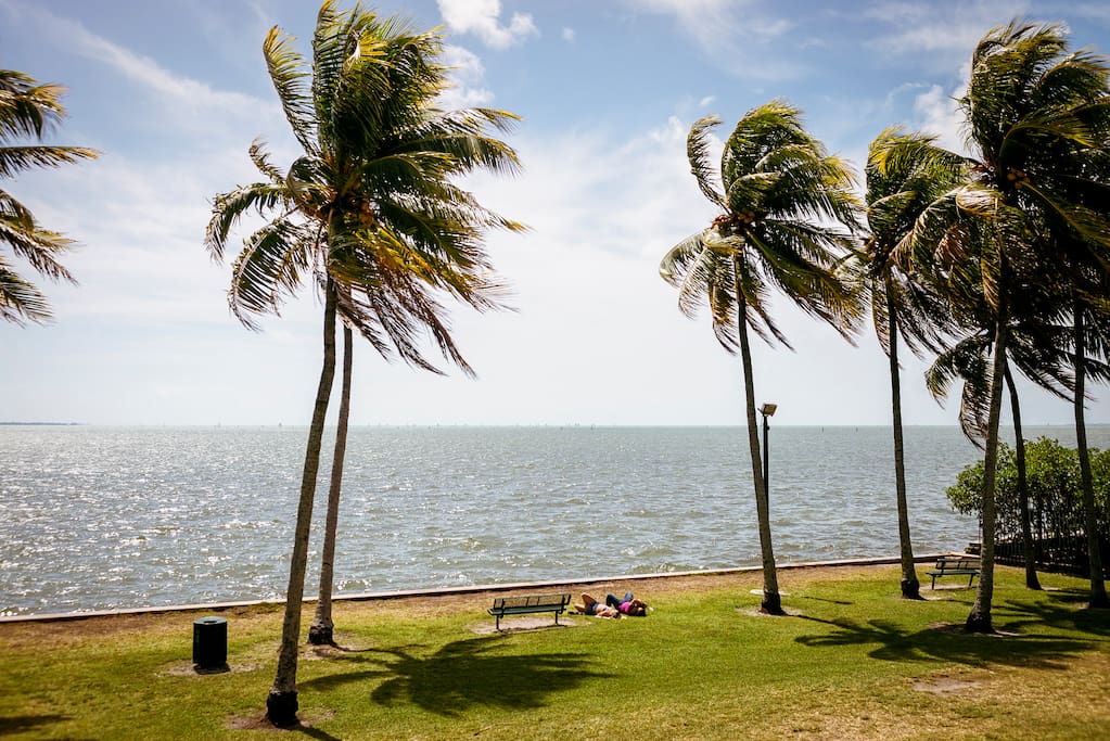 Foto de Coconut Grove em Coconut Grove