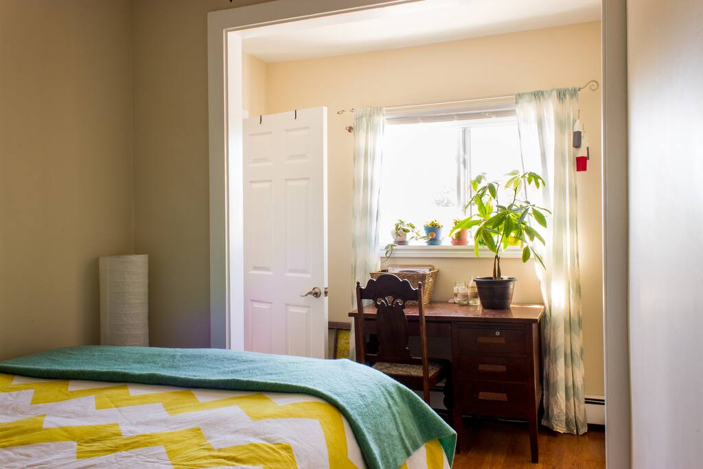 Desk to work at with lots of natural light and plants
