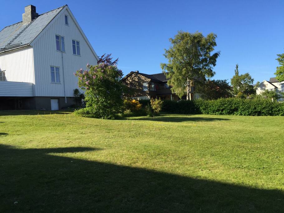 Stor hage