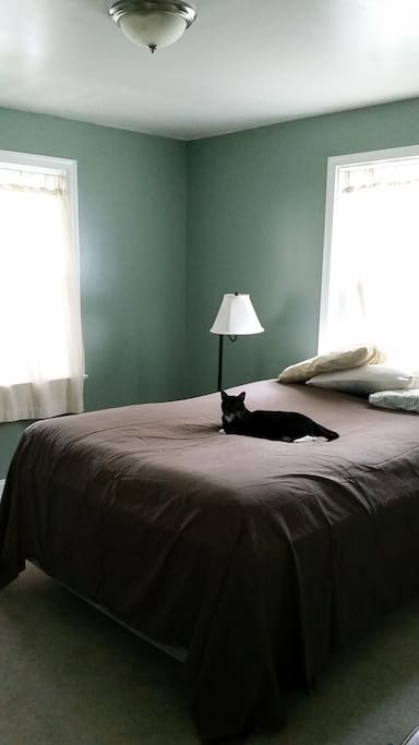 Bedroom, I think the bed is a queen.