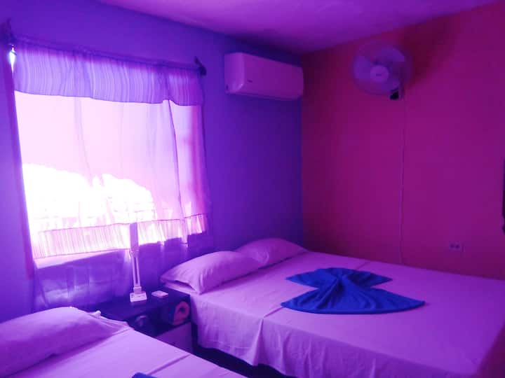 Quarto 2