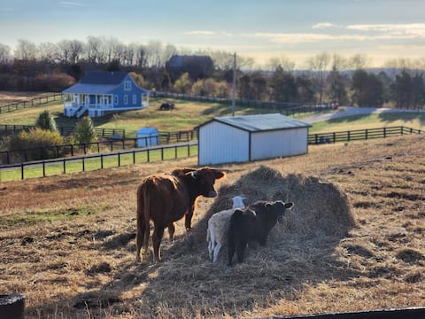 Milk & Honey Farm Cottage House