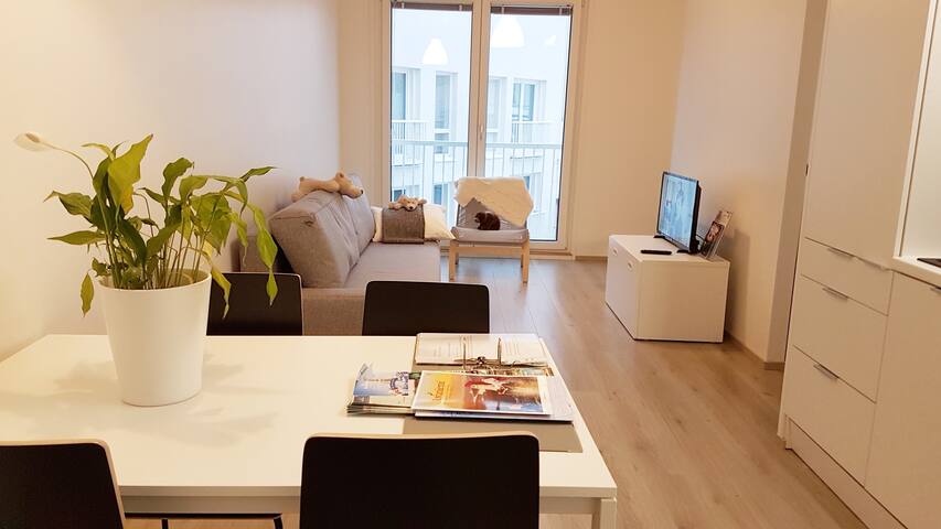 Brand new apartment. Best location.