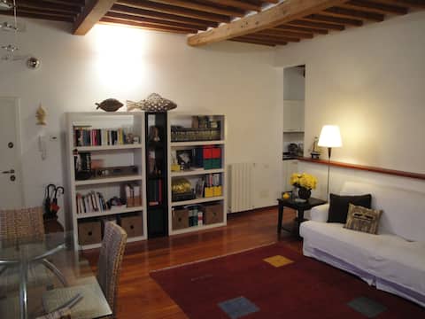 Proprietà Airbnb di successo: English trader palace a Livorno