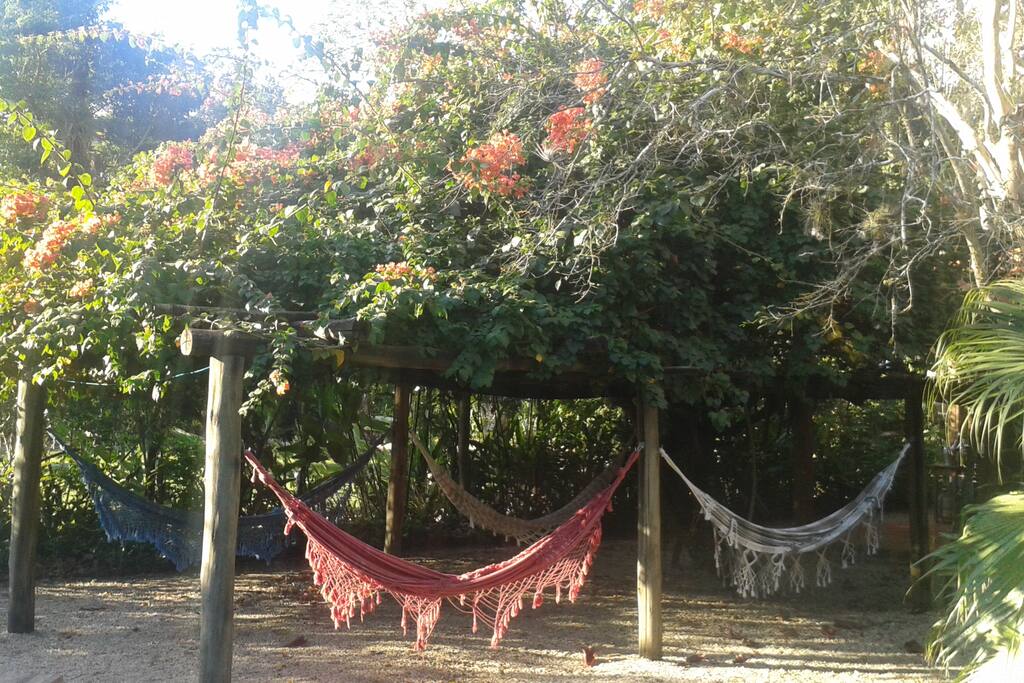 Hammock Rest Area