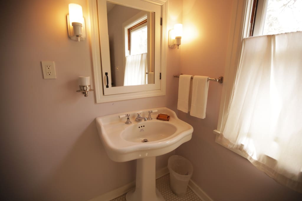 Pedestal sink