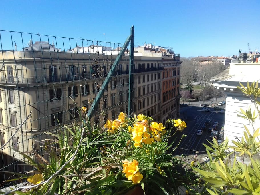 View from roof terrace