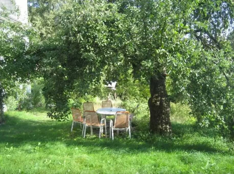 Garten Mieten Wilhelmsburg hof im gr 252 nen mit gro 223 en garten wohnungen zur miete in Garten Mieten Wilhelmsburg hof im gr 252 nen mit gro 223 en garten wohnungen zur miete in