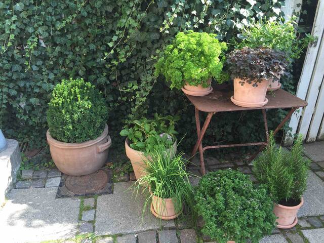 Town house in best area, 200sqm, private garden gallery image 3