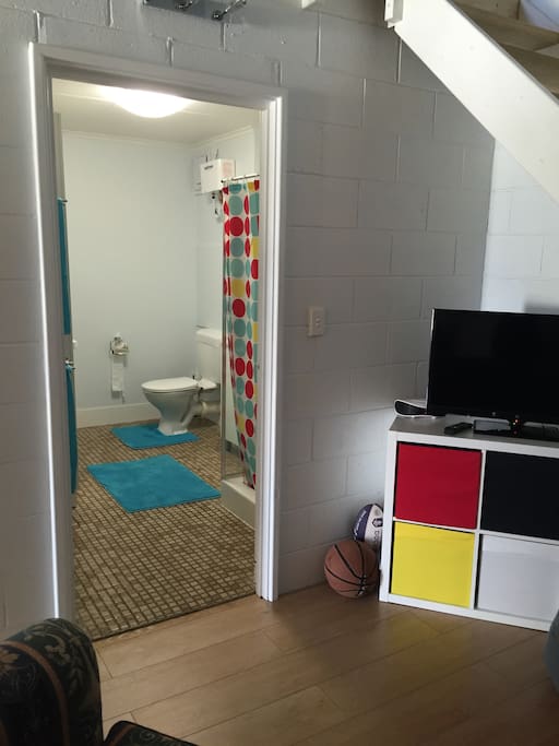 large bathroom/laundry