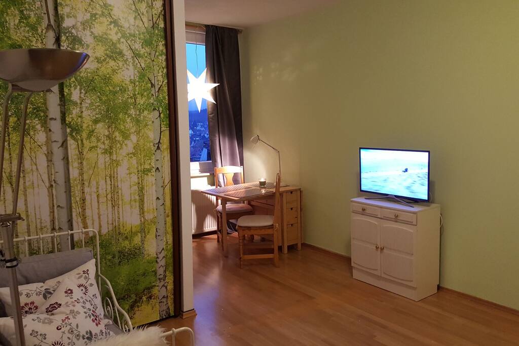 Blick in den Raum - an der hintern Wand Schrankbetten, in der Mitte Schrank und Couchecke und TV, am Fenster Miniküche und Sitzgruppe