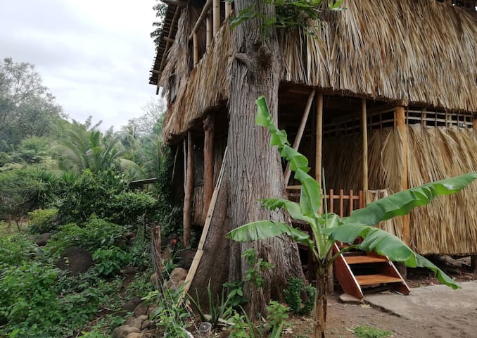 Airbnb Santa Cruz Vacation Rentals Places To Stay Rivas