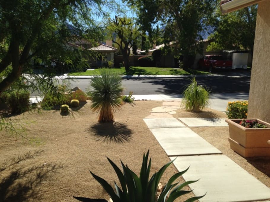 Looking out the front window.