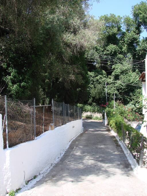 Entrance road