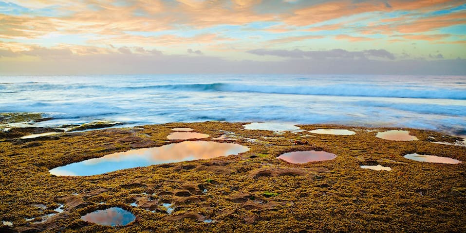 Point Roadknight with tree and ocean views.