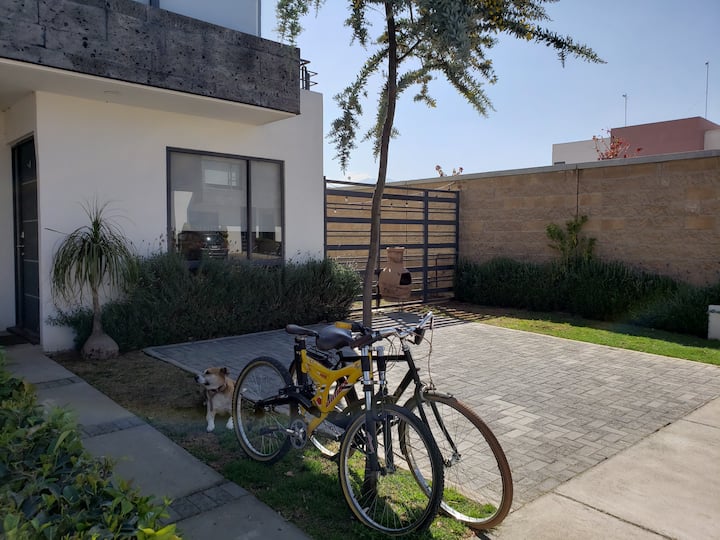 Chapultepec Holiday Rentals & Homes Estado de México, Mexico Airbnb