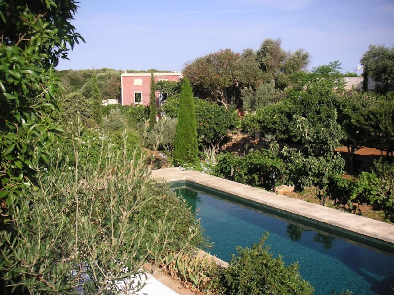 view of the house and garden from the pool side