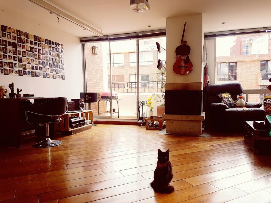 Salon
