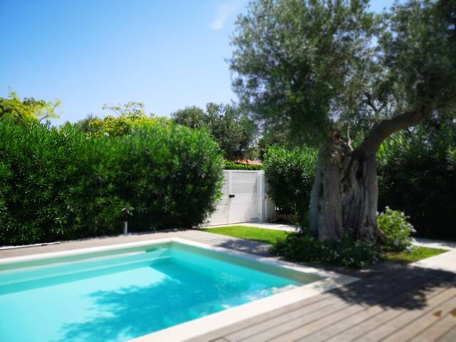 Villa with private pool in Ostuni gallery image 4