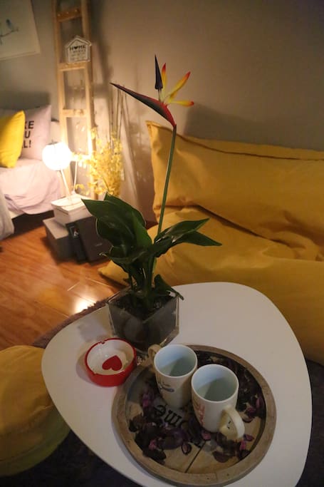 植物让房间充满生机