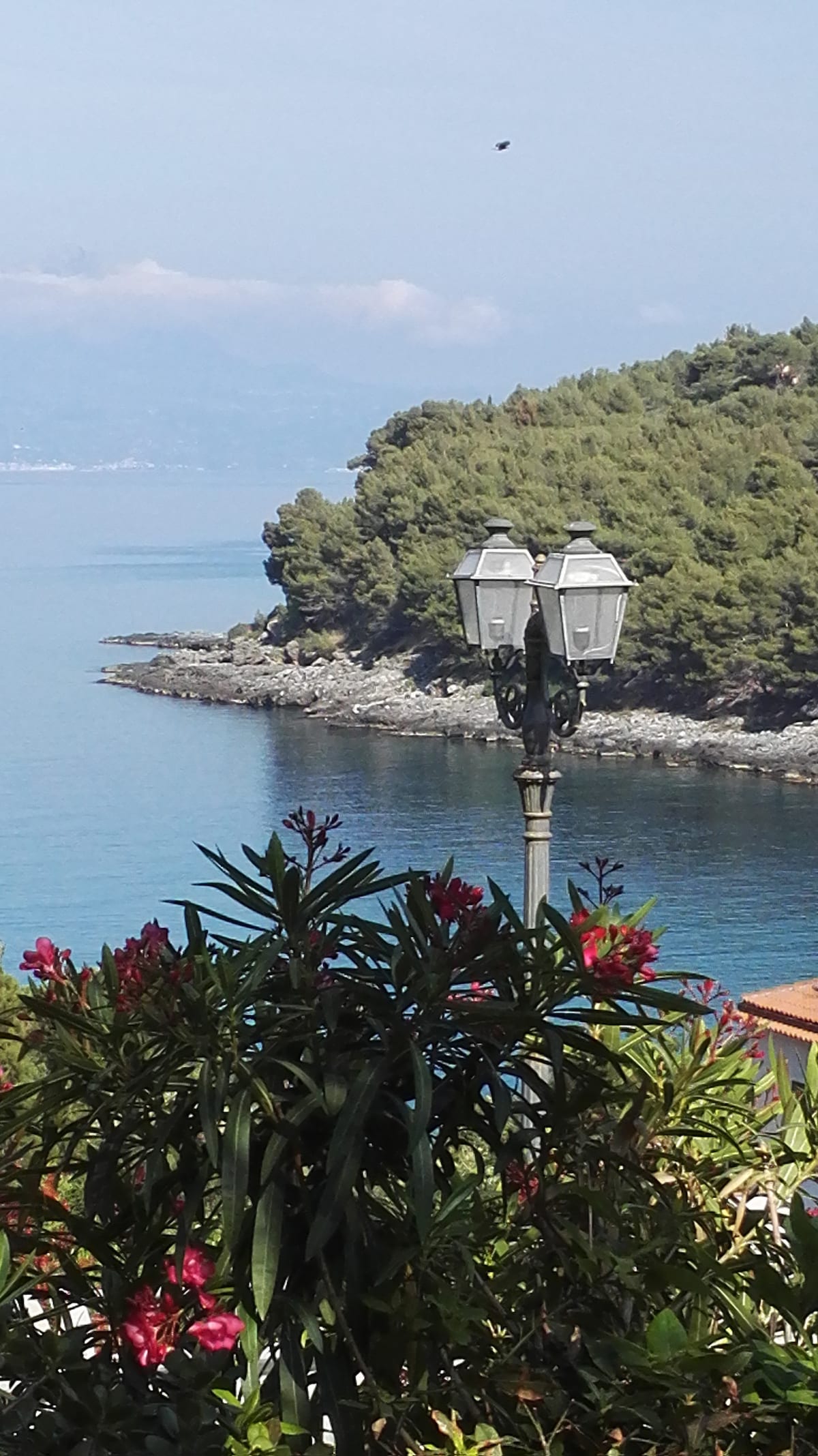 A view of the coastline features calm waters reflecting the sky. Lush green trees border the shoreline, while a lamp post stands next to vibrant plants adorned with colorful flowers, enhancing the scenery. The gentle curves of the shore are visible, inviting a sense of tranquility.