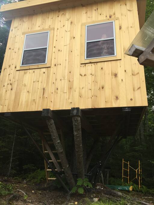 Front of tree house.