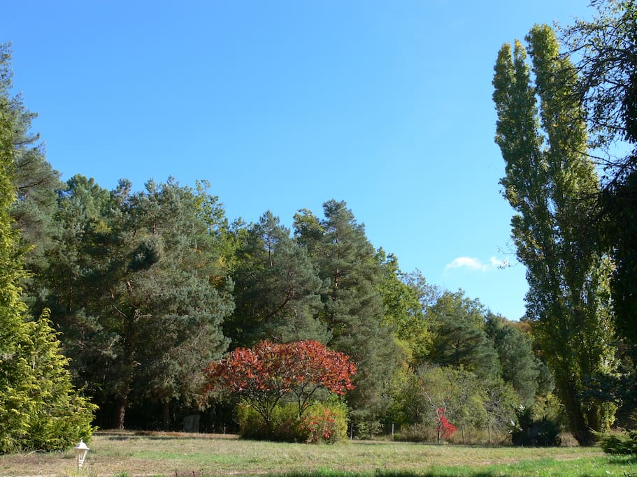 le jardin
