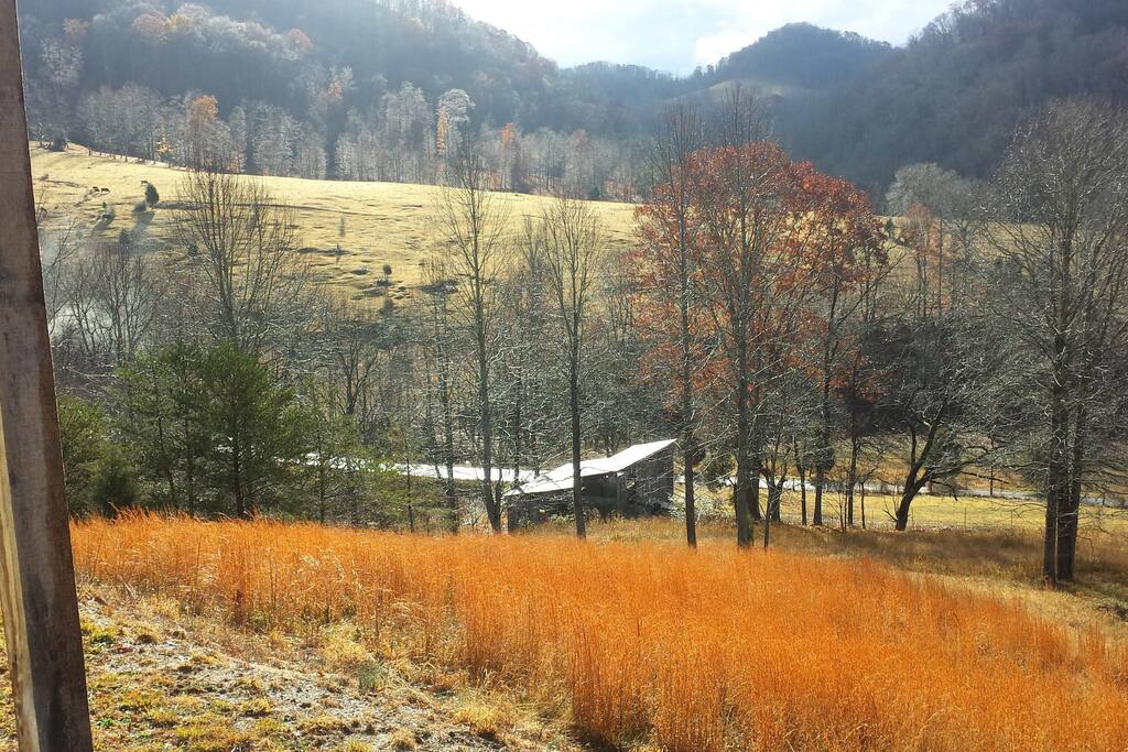 Fall View from Front Porch