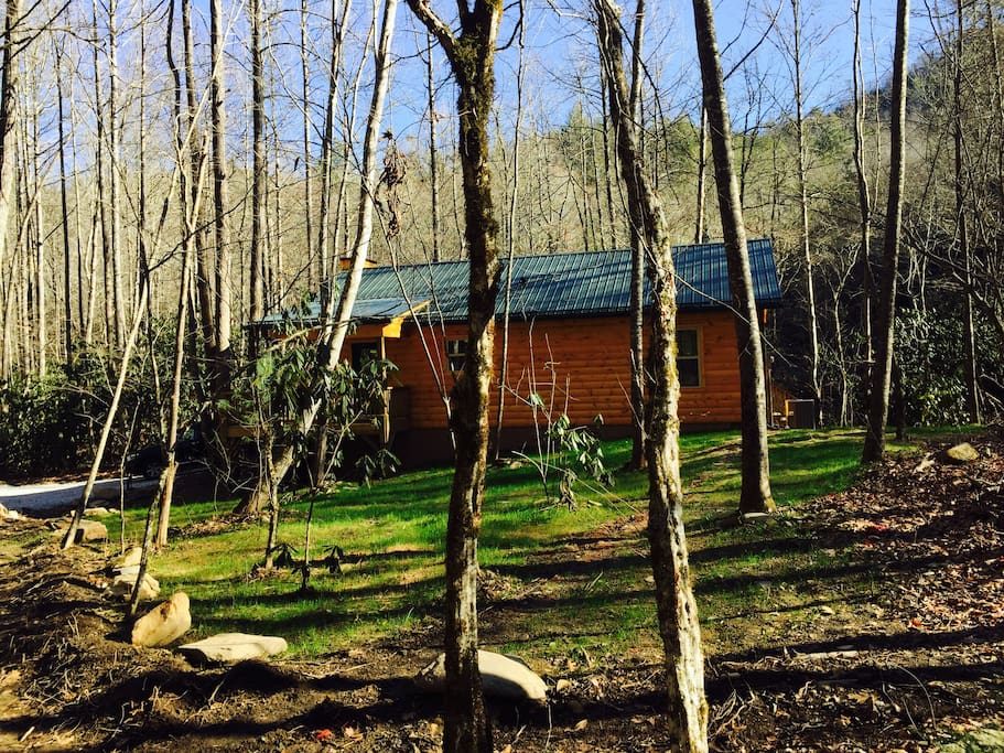 Front yard at Cabin #7