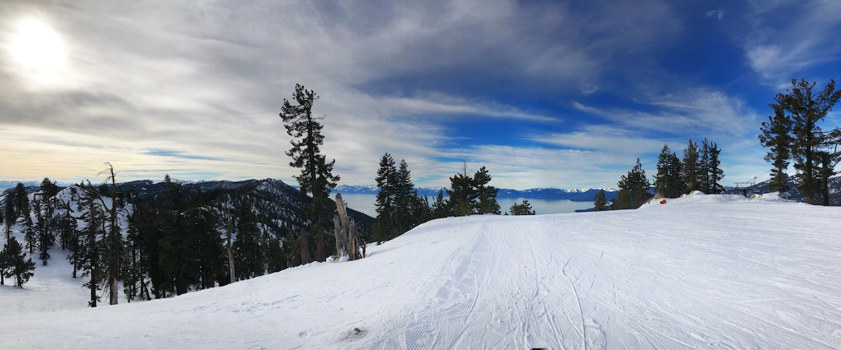 A panoramic view of snow-covered slopes extends across the image, framed by towering pines. The horizon showcases a serene expanse of Lake Tahoe, blending shades of blue and gray under a partly cloudy sky. Soft sunlight casts gentle shadows on the pristine snow.