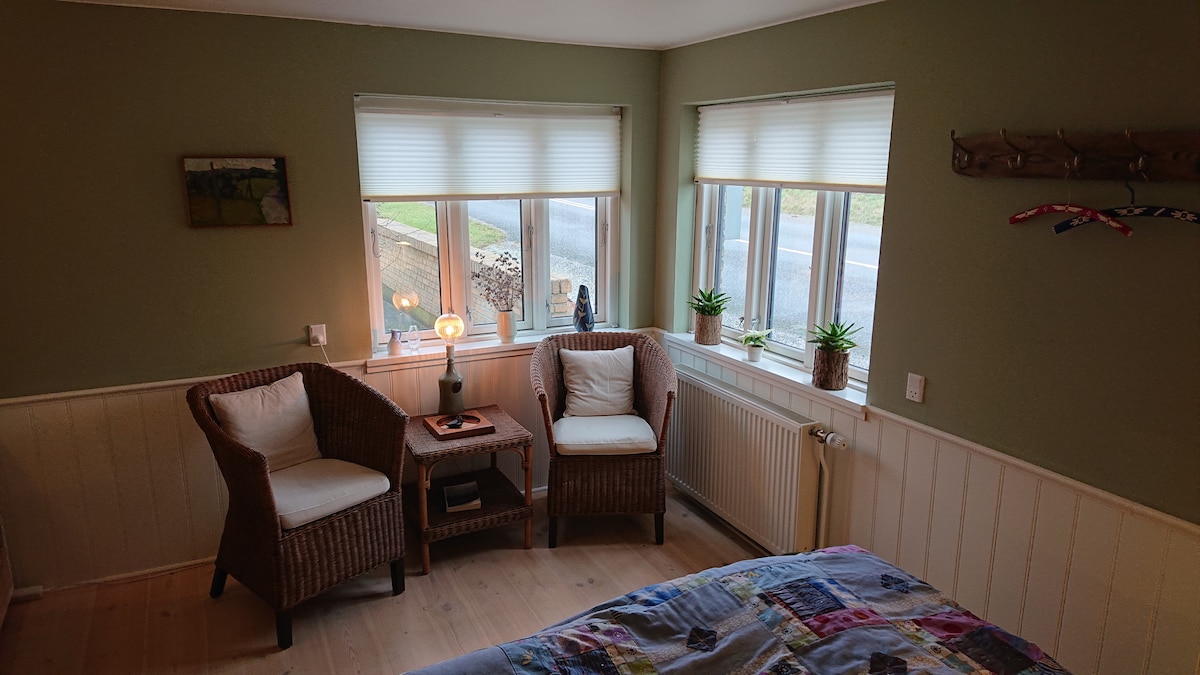 A corner of the room features two wicker chairs situated beside a small wooden table, which holds a lamp. Natural light filters through the three windows adorned with plants, illuminating the wooden floor and soft green walls.