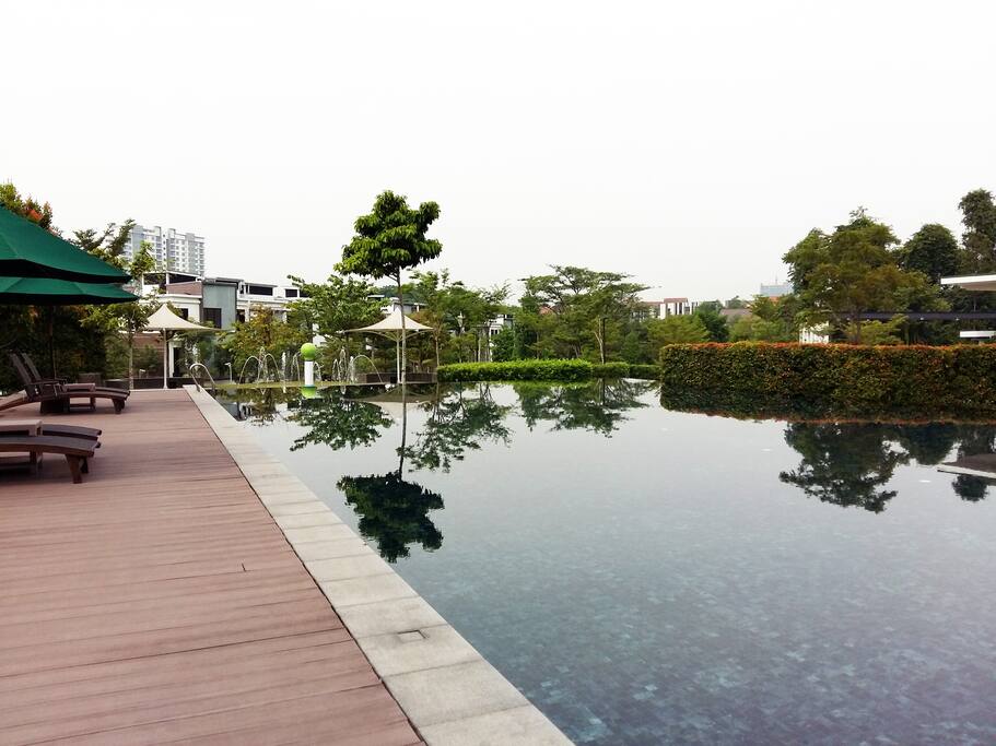 Infinity Pool