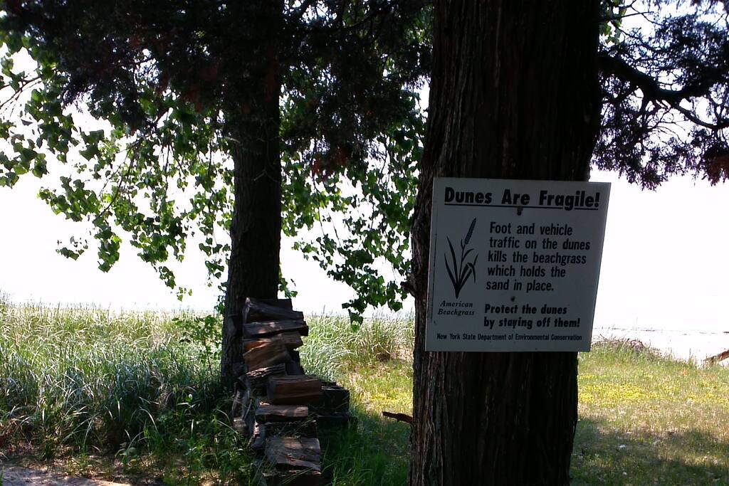 Sandbeach Cottage Houses for Rent in Ellisburg, New York, United States