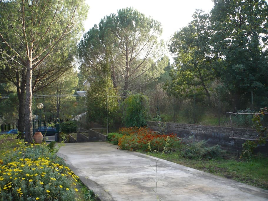 il giardino