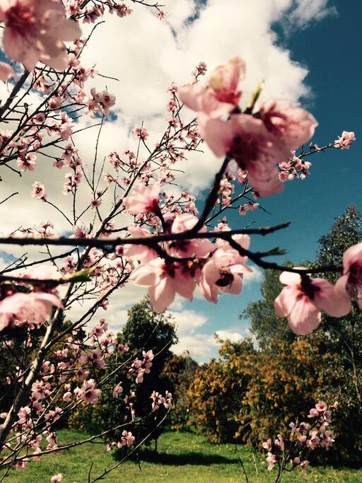 Spring time