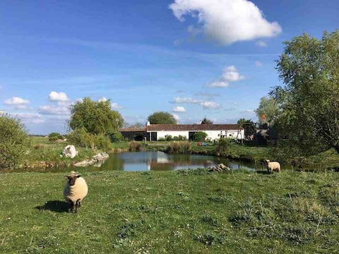 Domaine des Poirasses, rustic cottage 3* 8 min to the ocean