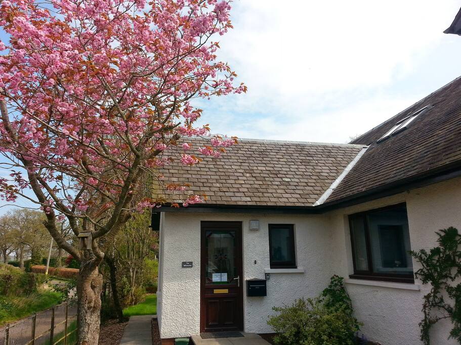 Front of house