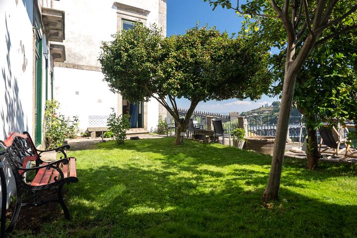 Apartment with a shared garden gallery image 5