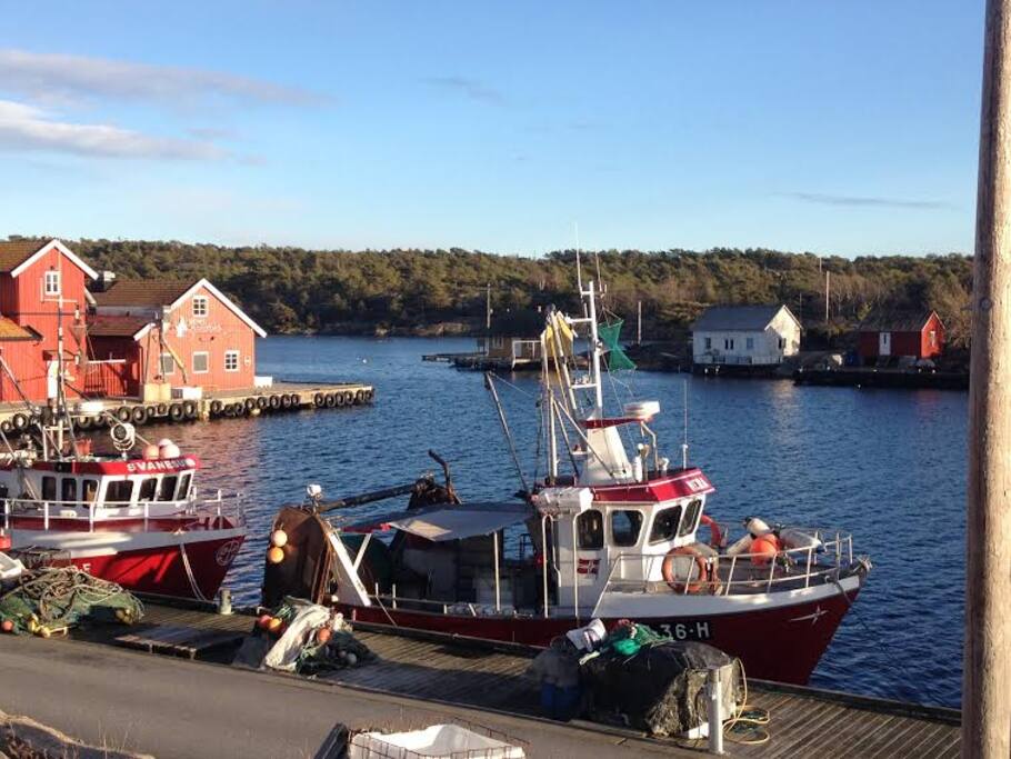 Utsikt fra balkongen