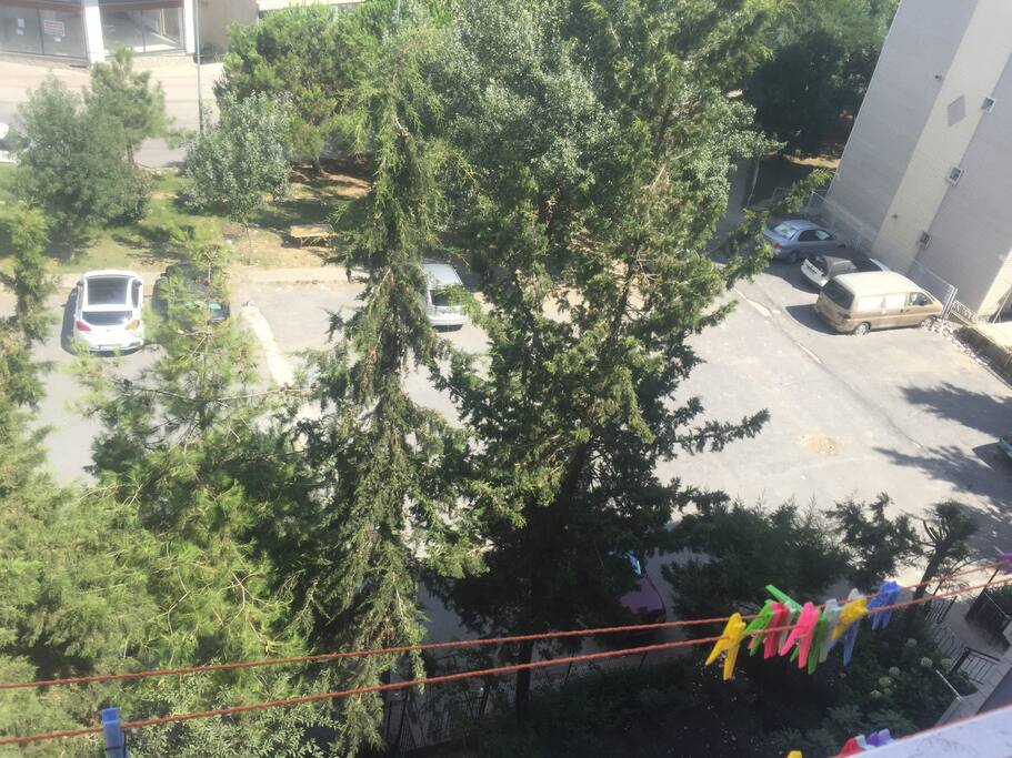 Park alanı
