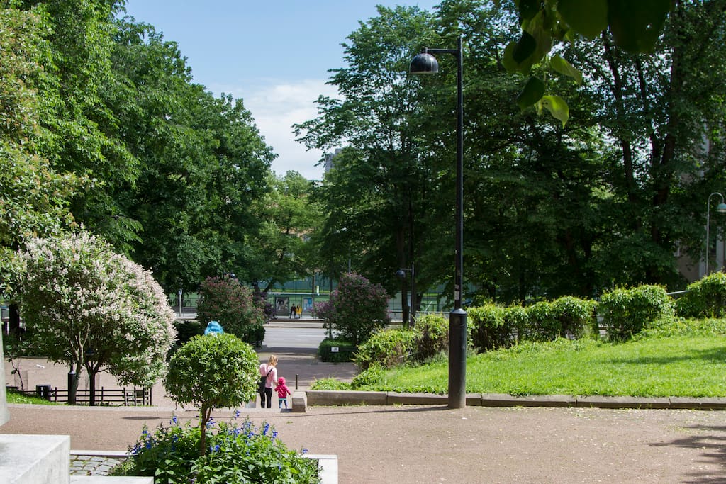 The park just next to the house.