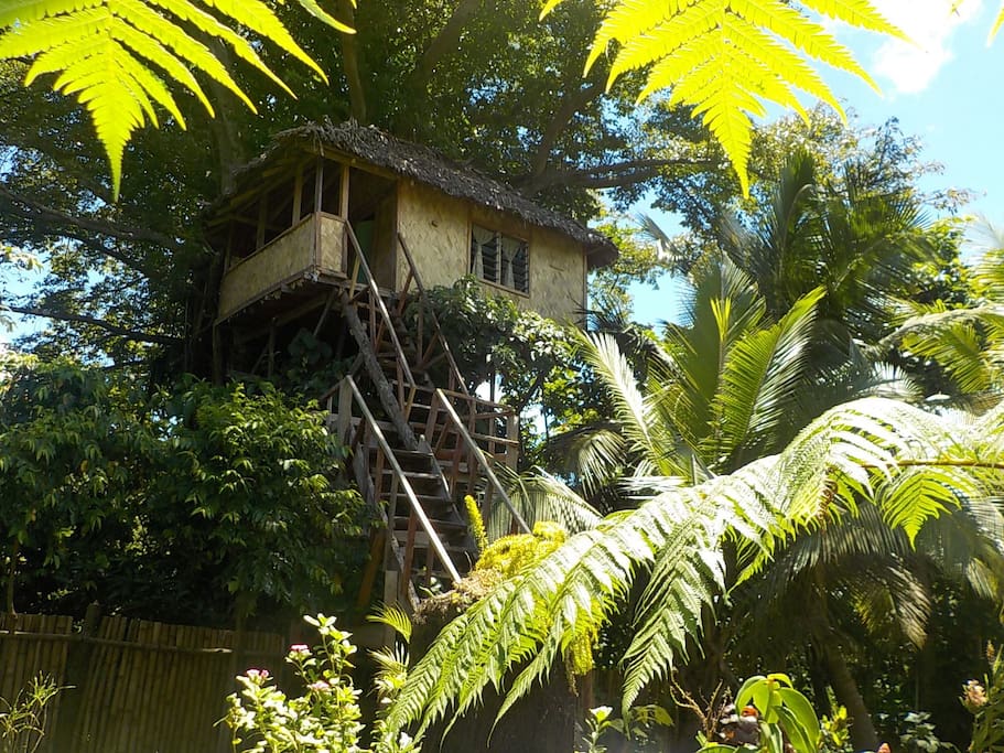 Jungle tree house with volcano view! Treehouses for Rent in Tanna