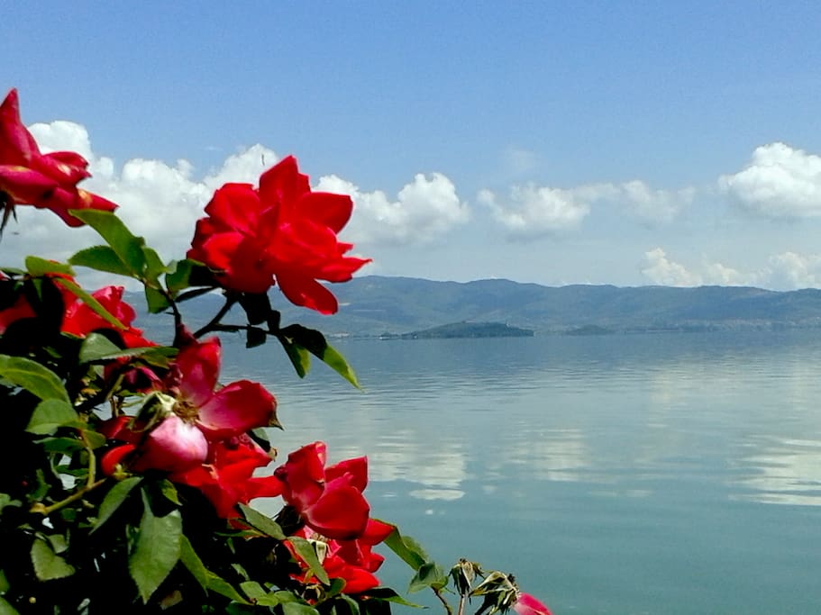 Lago Trasimeno